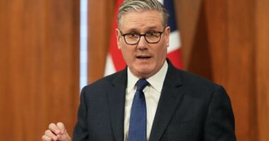 Transatlantic rift widens as Trump lashes out at NATO allies over unpopular Mideast war