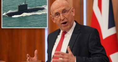 Trio of Russian spy submarines detected near Britain, UK says