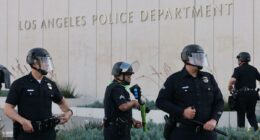 Trove of sensitive LAPD records leaked in hack attack