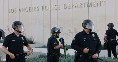 Trove of sensitive LAPD records leaked in hack attack