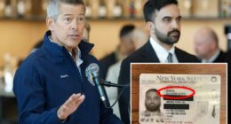 Trump DOT yanks $73M funding from NY for 'failing' to vet foreign truck drivers