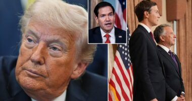 Trump addresses Marco Rubio's glaring absence from peace talks