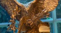 Trump adds a brand-new golden detail to the Oval Office