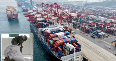 Trump administration calls on other nations to sign ‘trade over aid’ declaration to ‘promote America First values’: report