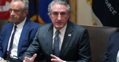 Trump administration to rejoin offshore drilling agencies separated after 2010 Gulf oil spill