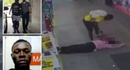 Trump blames Biden for allowing Haitian migrant accused of bludgeoning Florida into US