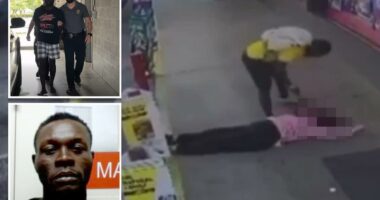 Trump blames Biden for allowing Haitian migrant accused of bludgeoning Florida into US