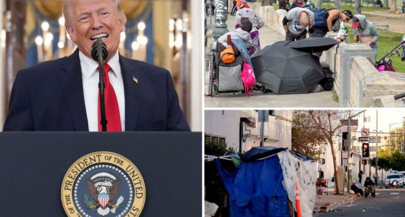 Trump blasts LA homeless agency's 'abysmal record' in plan to slash nearly $400M in federal funds