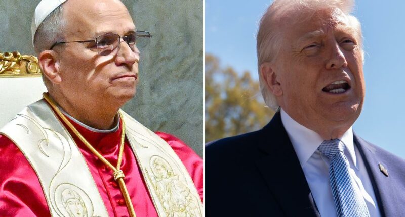 Trump blasts Pope Leo after pontiff's veiled jabs over Iran war, immigration