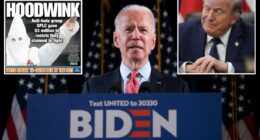 Trump calls for 2020 presidential election to be 'permanently wiped from the books' if Southern Poverty Law Center convicted of fraud