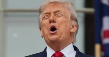 Donald Trump has celebrated the axing of a critical part of the Voting Rights Act.