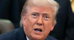 Trump changes green card rules: Immigrants who express political opinions on social media can now be denied the path to citizenship