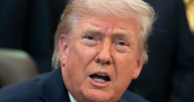 Trump changes green card rules: Immigrants who express political opinions on social media can now be denied the path to citizenship