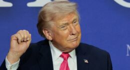 Trump cheers as oil prices PLUNGE after Iran declares Hormuz 'open'