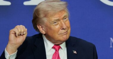 Trump cheers as oil prices PLUNGE after Iran declares Hormuz 'open'