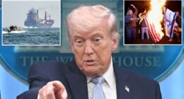 Trump declares Strait of Hormuz 'joint venture' with Iran