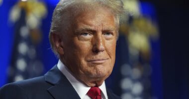 Trump declares victory for the 'greatest political comeback in American history' after astonishing election night sweep