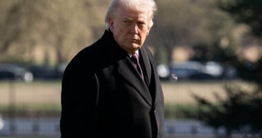 Trump has wanted to leave NATO for 40 years. Now he's on the brink