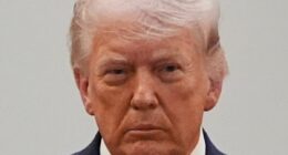 Trump mocks Gavin Newsom's California with video of wild downtown LA