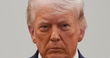 Trump mocks Gavin Newsom's California with video of wild downtown LA