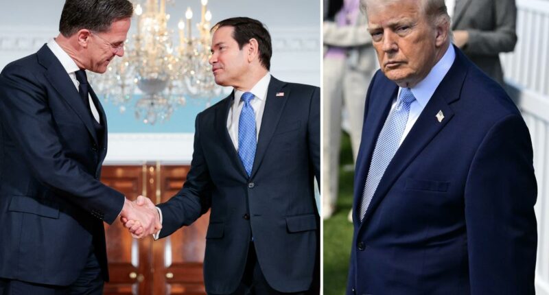 Trump mulls punishing NATO countries that didn't assist Iran war effort: report