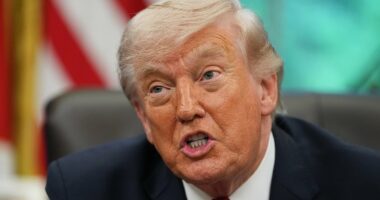 Trump presented with RISKY secret Iran plan using US ground troops