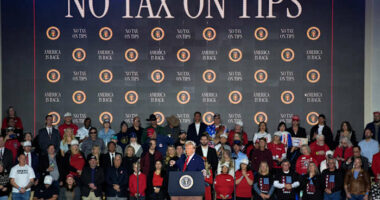 Trump promised tax relief, but polling shows most Americans still think they're overpaying