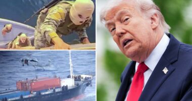 Trump says Iran 'choking like a stuffed pig' on Strait of Hormuz blockade