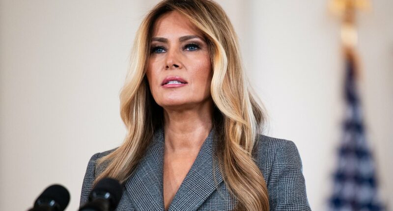 Trump says Melania 'had a right' to talk about Epstein