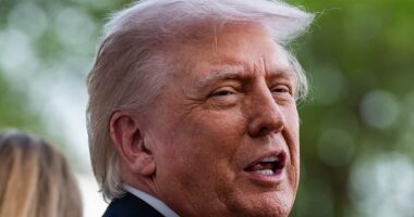 Trump says Pope 'probably learned' to stay out of politics