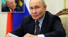 Trump says Putin could agree to temporary cease-fire in Ukraine