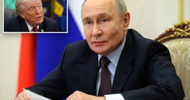 Trump says Putin could agree to temporary cease-fire in Ukraine