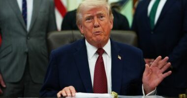 President Donald Trump