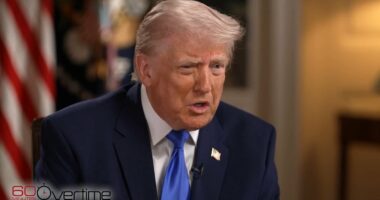 Trump says 'radicalized' sickos are 'totally funded' by Democrats