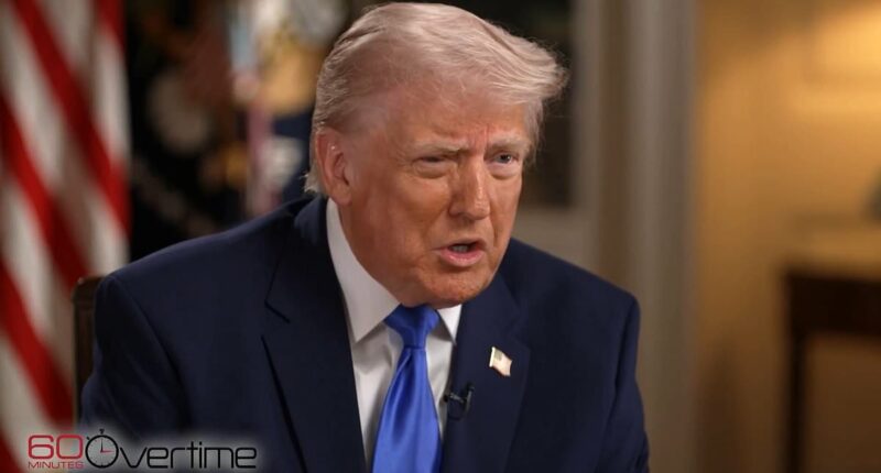 Trump says 'radicalized' sickos are 'totally funded' by Democrats