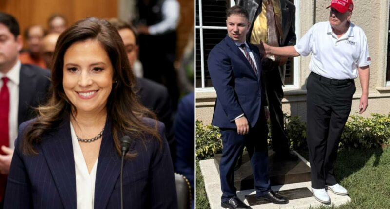 Trump shakes up NY GOP with blockbuster endorsement for Elise Stefanik's seat