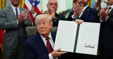 Trump signs executive order to speed review of psychedelics, including the controversial drug ibogaine