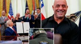 Trump signs order to fast track ibogaine psychedelic drug research to treat veterans with PTSD