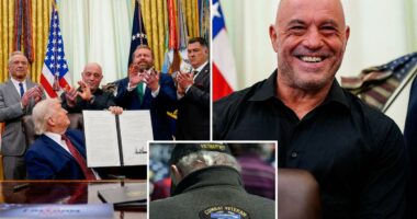 Trump signs order to fast track ibogaine psychedelic drug research to treat veterans with PTSD