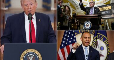 Trump sued by Schumer, Jeffries over executive order to increase federal involvement in elections