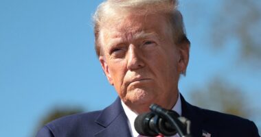 Trump takes his biggest lead yet in Daily Mail election model beating Harris by 30 points