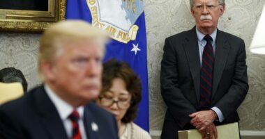 Trump threat to exit NATO remains on the table, warns former aide