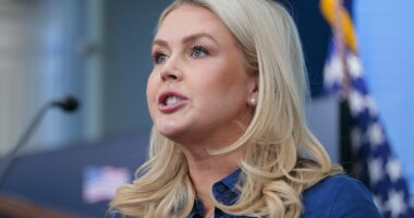 Trump to discuss QUITTING NATO over 'turning their backs on America'