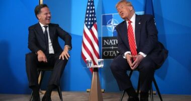 Trump to meet NATO chief as he weighs exiting western alliance