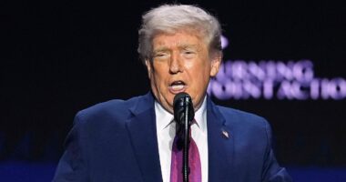 Trump 'to sign executive order' that will ease access to psychedelic drug used to treat PTSD