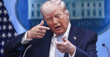 Trump vows to jail leaker who told media about active military plans