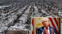 Trump wages war on California insurance giants over wildfire payouts while teasing probe: âHorrendous companiesâ
