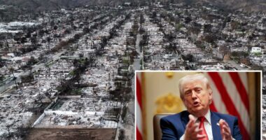 Trump wages war on California insurance giants over wildfire payouts while teasing probe: âHorrendous companiesâ