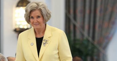 Trump's Ice Maiden finally cracks: Susie Wiles in frantic damage control after sparking PR disaster for the president