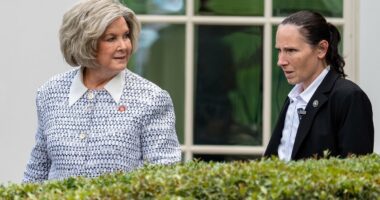 Trump's Ice Queen quietly calls security summit as scrutiny swells